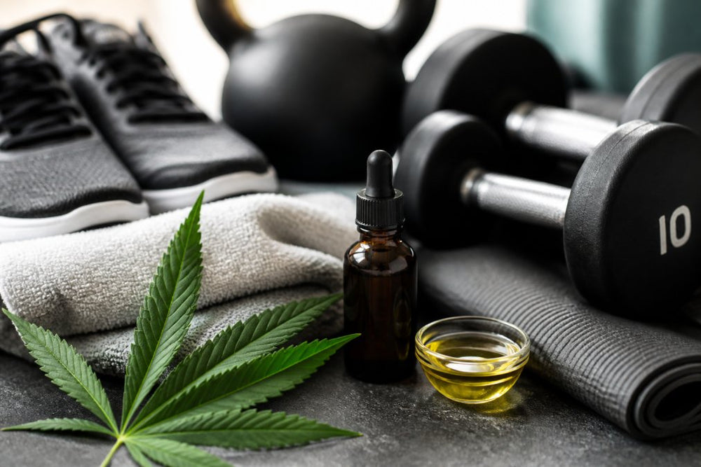 Science-Backed Hemp for Sports Performance: 2026 Guide